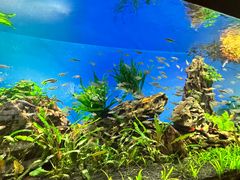 -太平洋海底世界