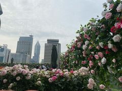 -城市露台景观餐厅(淮海路店)