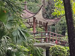 -晓港公园