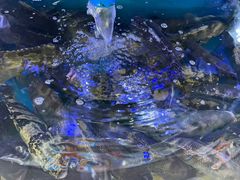 -鼓歌海鲜舫·手抓海鲜(大学城店)