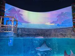 -沈阳海洋探索中心