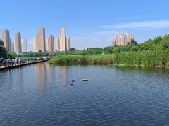 -前关湿地公园