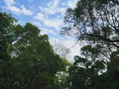 -青芝山风景名胜区