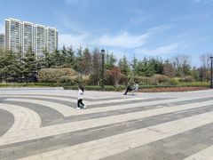 -星光岛