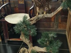 -渔掌门(铁东店)