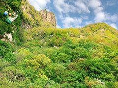 -王顺山国家森林公园