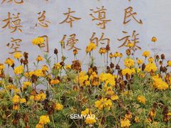 -狮脑山森林公园