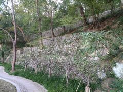 -镇江市南山风景名胜区竹林景区