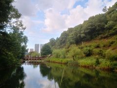 -桃花岭景区