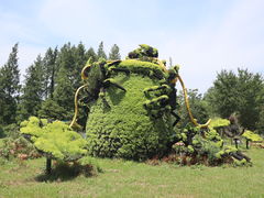 -东平国家森林公园