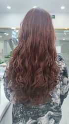 -Show fa salon 秀发沙龙
