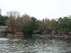 -荔湾湖公园