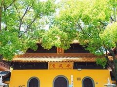-亭林园-华藏寺