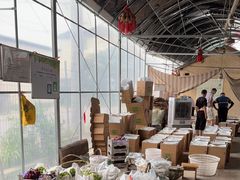 -马陆小张葡萄园农家乐