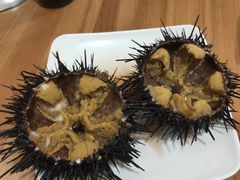 -海胆小馆(东北水饺·春柳店)