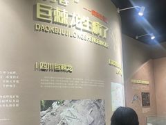 -自贡恐龙博物馆