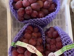 -马陆小张葡萄园农家乐