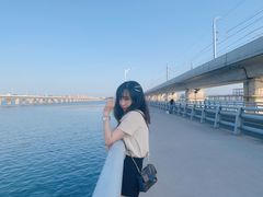 -海堤纪念公园