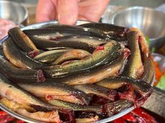 -铜元老码头鳝鱼火锅