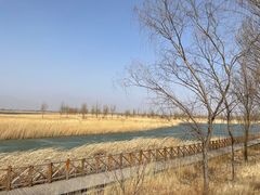 -野鸭湖国家湿地公园