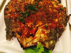 -小杨烤肉(高新店)
