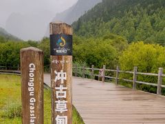 -稻城亚丁景区-冲古草甸