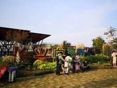 -上海长兴岛郊野公园