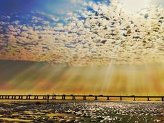 -南汇嘴观海公园