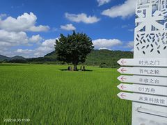 -风云岭森林公园