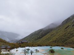 -黄龙山原始森林景区