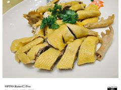 东豪白切鸡-东豪园林海鲜酒家(南港路辅路店)