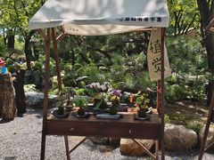 -熙古里艺术村