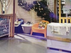 -宜家家居(四元桥商场店)