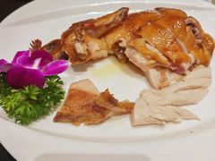 砂锅豉油鸡-金汇酒楼(中山东区店)