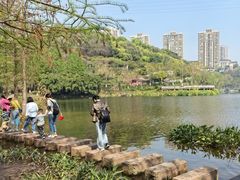 -重庆彩云湖湿地公园