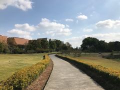 -同济大学(嘉定校区)
