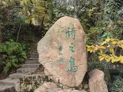 -江心屿景区