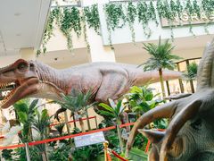 -宁波杉井奥特莱斯广场