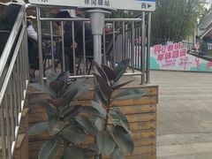 -昆明动物园