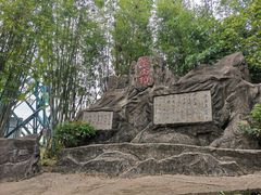 -东莞市大岭山森林公园
