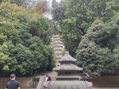 -灵谷景区