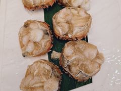 -王宝和酒家(黄浦店)