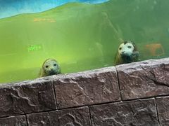 -嘉兴海底世界