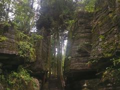 -梭布垭石林景区