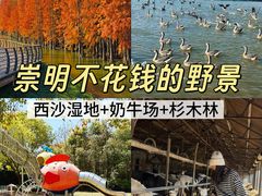 -上海怡沁园度假酒店