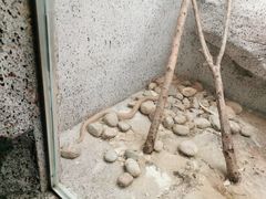 -临沂动植物园