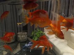 -苏湘会(新港店)