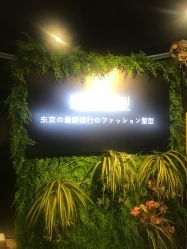 -藤野造型