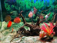 -绍兴梦享海洋公园