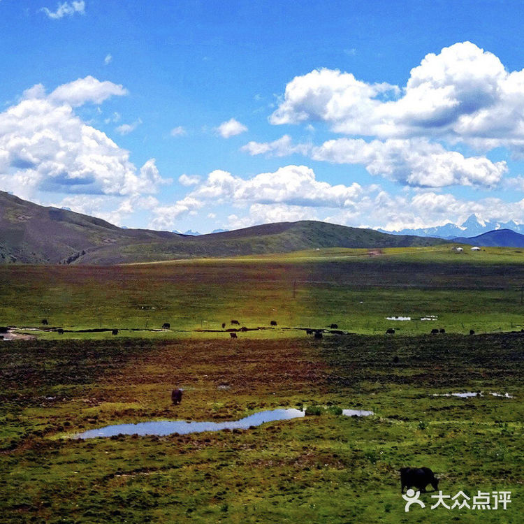 成都周边游[加油]夏季若尔盖大草原旅行